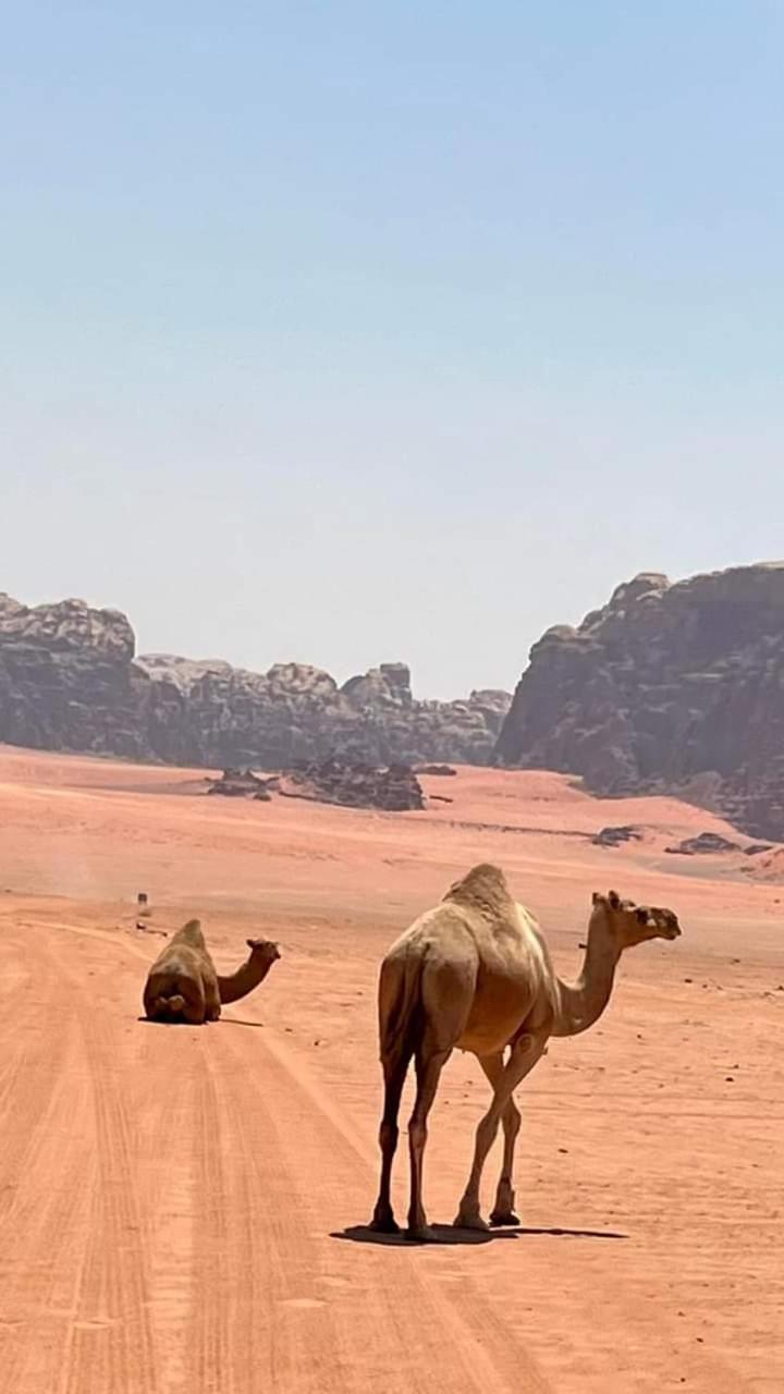 Enad Desert Camp Wadi Rum Exterior photo